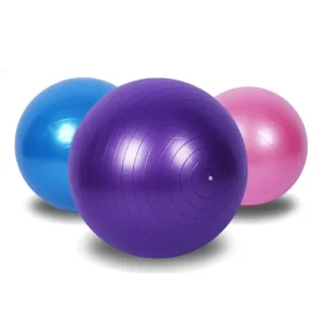 Therapy Ball (Swiss Ball)