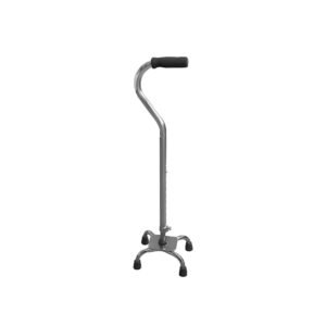 Walking Cane